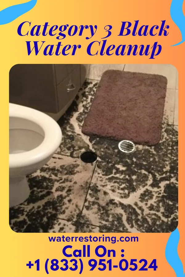 Category 3 Black Water Cleanup in Blue Ridge, GA