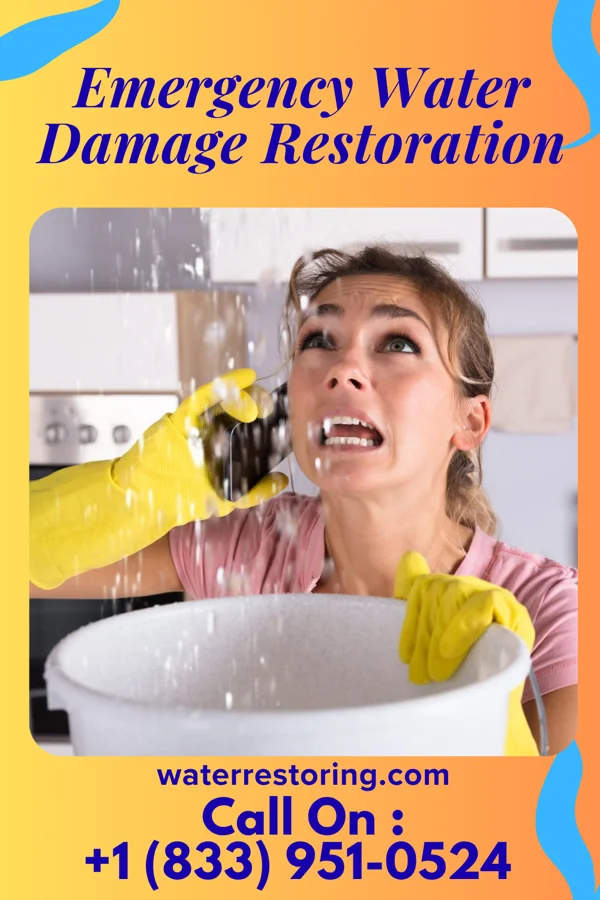Emergency Water Damage Restoration in Blue Ridge, GA