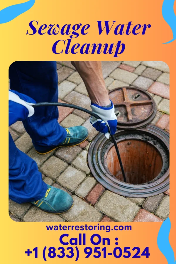 Sewage Water Cleanup in Blue Ridge, GA